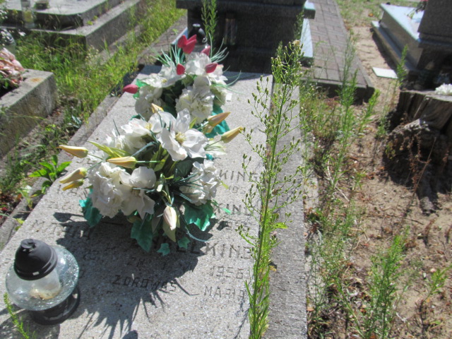 JÓZEF,WANDA,MARIA ENGELKING 1888 Ciechocinek - Grobonet - Wyszukiwarka osób pochowanych