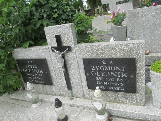 Zygmunt OLEJNIK 1910 Ciechocinek - Grobonet - Wyszukiwarka osób pochowanych