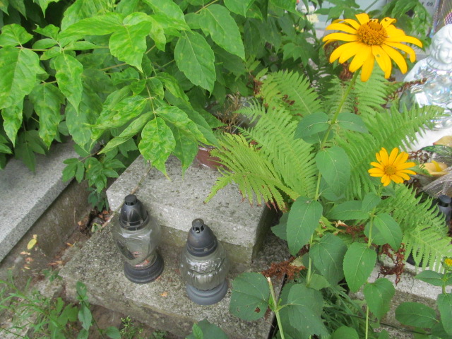 Mareczek ZARĘBA 1955 Ciechocinek - Grobonet - Wyszukiwarka osób pochowanych