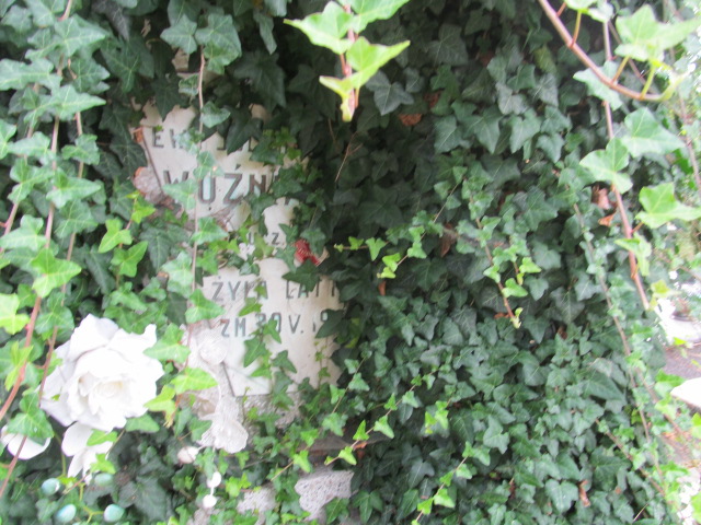 Bronisława NOWAK Ciechocinek - Grobonet - Wyszukiwarka osób pochowanych