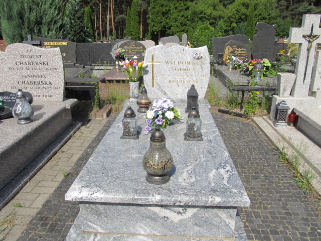 Grób WŁADYSŁAW WALDOWSKI